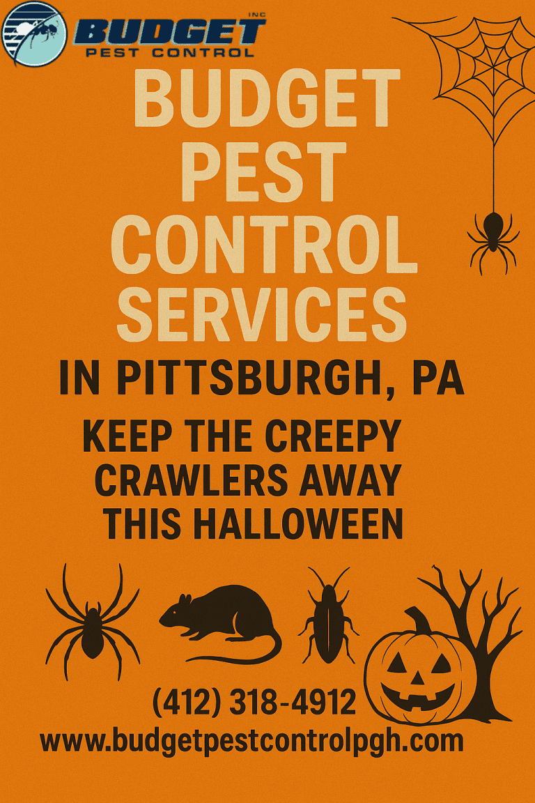 Budget Pest Control Best Exterminator Pittsburgh PA